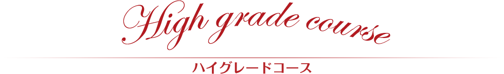 ハイグレードコース